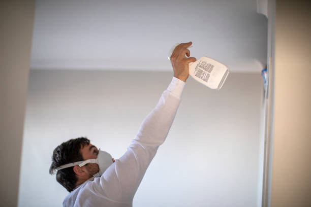 Best Mold Cleaning Services  in Boswell, PA