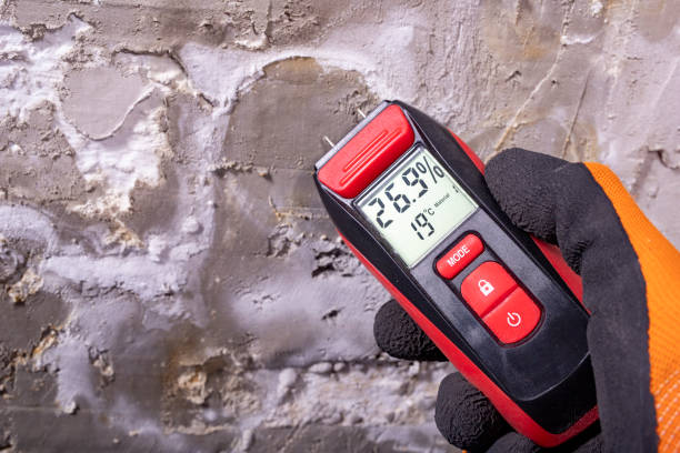 Best Mold Testing  in Boswell, PA