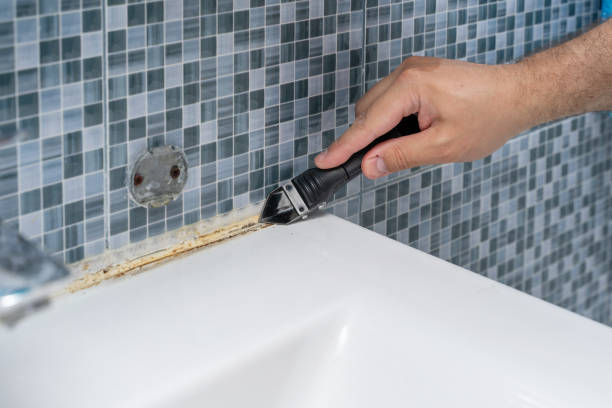 Best Fast Mold Removal  in Boswell, PA